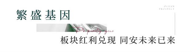 炸裂！全城劲销！深度解析热销红盘背后的爆场逻辑——九房网