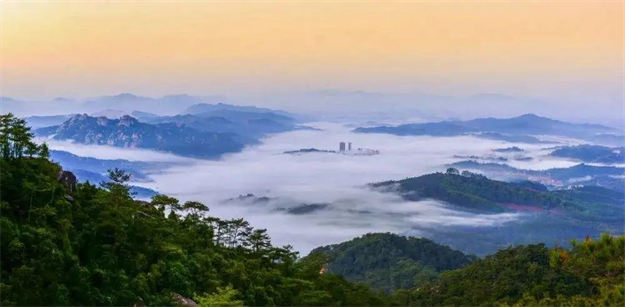 百余全国主流媒体齐聚桃李春风，探寻美好生活原点——九房网