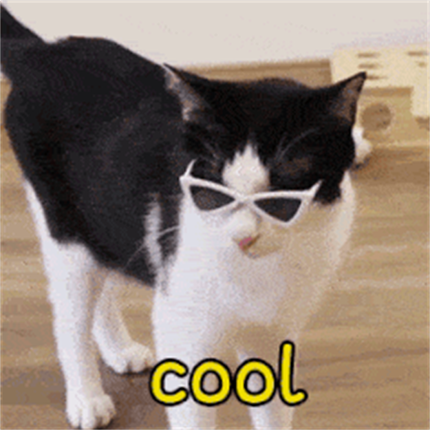 猛料来袭！厦门将大变样！家在这里的要发达啦！——九房网