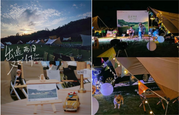 小龙人计划 | 牵着“蜗牛”去散步，让爱不慌不忙——九房网