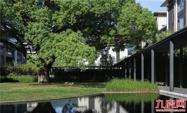 市中心坐拥800亩中央公园，300万起入住登云湖富人区——九房网