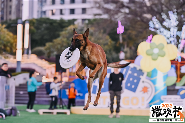 春日携宠撒欢!建发湾悦城联动百家品牌打造宠物友好商圈——九房网 春日携宠撒欢!建发湾悦城联动百家品牌打造宠物友好商圈——九房网
