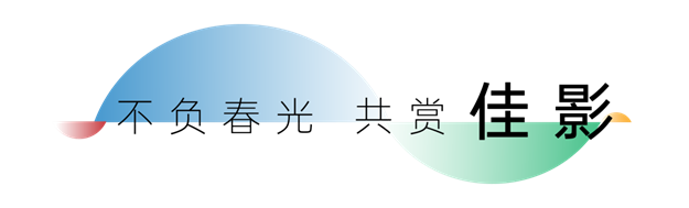 咫尺星辰大海 尽情奔赴热爱 ——海峡新岸岛内“微度假”计划 诗与自由何须远方——九房网 咫尺星辰大海 尽情奔赴热爱 ——海峡新岸岛内“微度假”计划 诗与自由何须远方——九房网