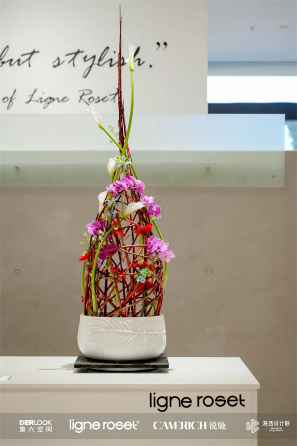 国际大牌家居登鹭，写意空间及锐驰家具厦门盛大开业——九房网