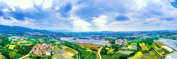 造乐生活 趣国贸 | 绝了!火爆全网的双节活动,你打卡了吗?——九房网 造乐生活 趣国贸 | 绝了!火爆全网的双节活动,你打卡了吗?——九房网