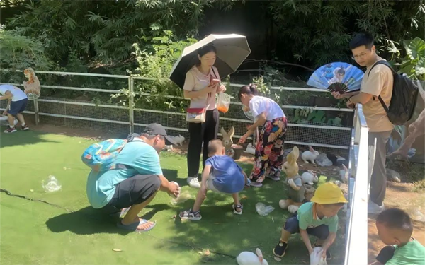 造乐生活 趣国贸 | 绝了!火爆全网的双节活动,你打卡了吗?——九房网 造乐生活 趣国贸 | 绝了!火爆全网的双节活动,你打卡了吗?——九房网