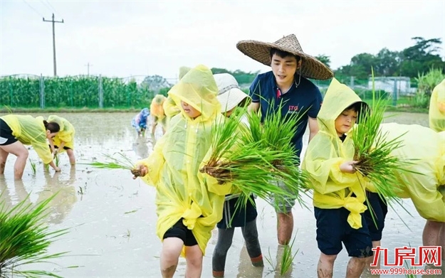 厦门房产,厦门房地产,厦门新房,九房网,厦门房产 厦门房产,厦门房地产,厦门新房,九房网,厦门房产
