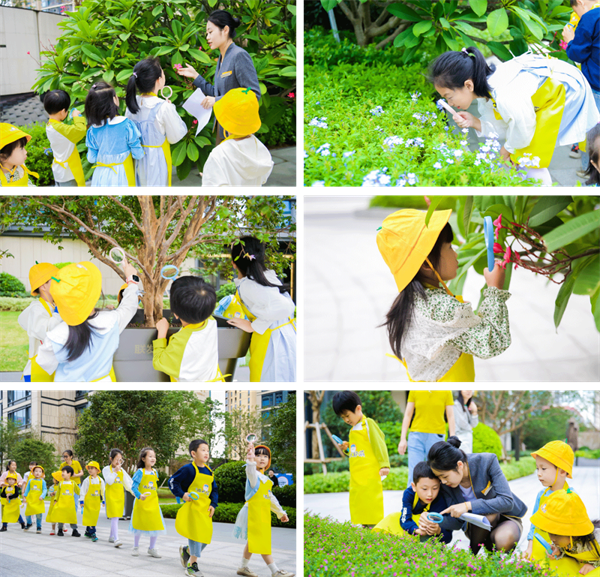 厦门房产,厦门房地产,厦门新房,九房网,厦门房产 厦门房产,厦门房地产,厦门新房,九房网,厦门房产