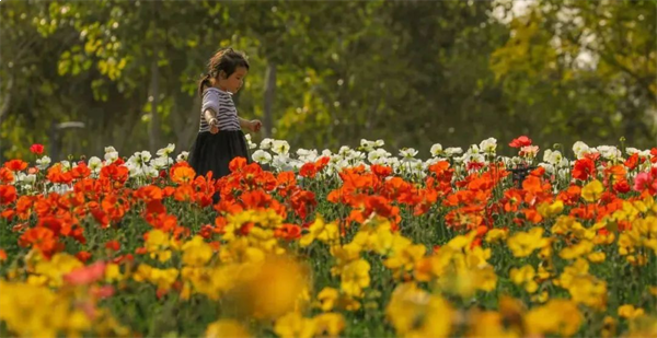 厦门房产,厦门房地产,厦门新房,九房网,厦门房产 厦门房产,厦门房地产,厦门新房,九房网,厦门房产