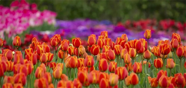 厦门房产,厦门房地产,厦门新房,九房网,厦门房产 厦门房产,厦门房地产,厦门新房,九房网,厦门房产