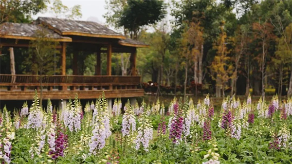 厦门房产,厦门房地产,厦门新房,九房网,厦门房产 厦门房产,厦门房地产,厦门新房,九房网,厦门房产