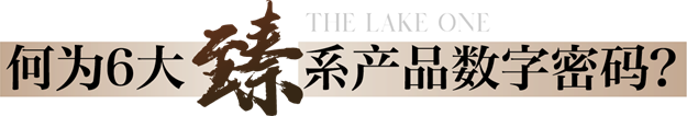 时代标杆|为五缘敬献一座不可复制的「臻」贵资产——九房网 时代标杆|为五缘敬献一座不可复制的「臻」贵资产——九房网