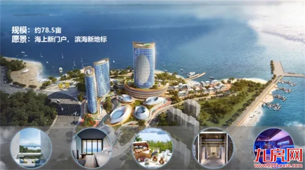 扎根石狮 富贵花开 | 石狮市召开2024年城市招商推介会——九房网 扎根石狮 富贵花开 | 石狮市召开2024年城市招商推介会——九房网