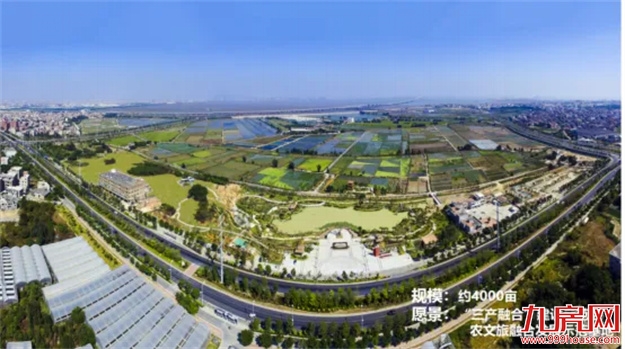 扎根石狮 富贵花开 | 石狮市召开2024年城市招商推介会——九房网 扎根石狮 富贵花开 | 石狮市召开2024年城市招商推介会——九房网