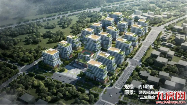 扎根石狮 富贵花开 | 石狮市召开2024年城市招商推介会——九房网 扎根石狮 富贵花开 | 石狮市召开2024年城市招商推介会——九房网