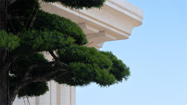 有个福建富豪说:不要望子成龙,成龙多辛苦,让父亲成龙。——九房网 有个福建富豪说:不要望子成龙,成龙多辛苦,让父亲成龙。——九房网