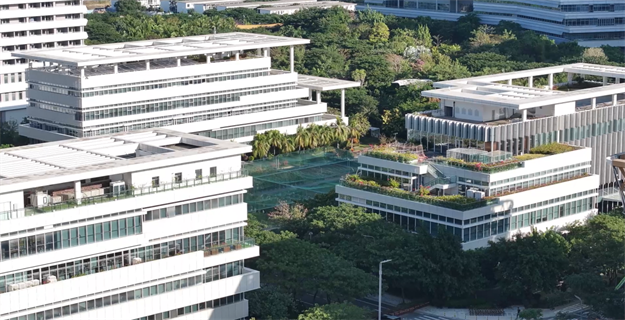 当度假邂逅「酒店化」居家,三亚给出了一份新答案——九房网 当度假邂逅「酒店化」居家,三亚给出了一份新答案——九房网