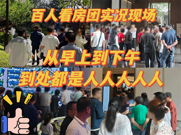 百人看房团包圆一整栋？再现厦门抢房盛况！——九房网