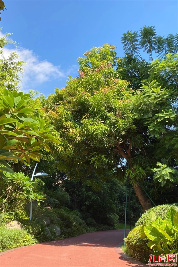 厦门房产,厦门房地产,厦门新房,九房网,厦门房产 厦门房产,厦门房地产,厦门新房,九房网,厦门房产